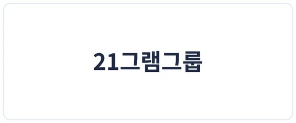 21그램그룹 세이프로 도입