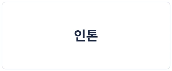 인톤 세이프로 도입